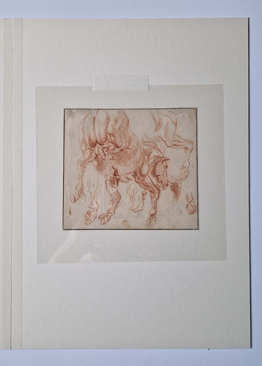 Dessin ancien hollandais XVIIe par Jan van Huchtenburg (1647–1733)  Feuille d'études de cheval -photo-2