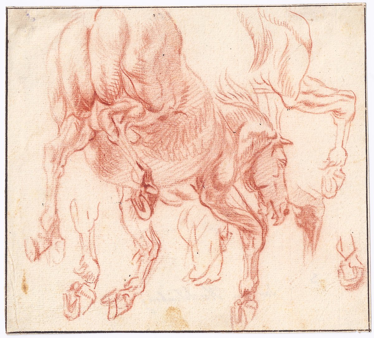 Dessin ancien hollandais XVIIe par Jan van Huchtenburg (1647–1733)  Feuille d'études de cheval 