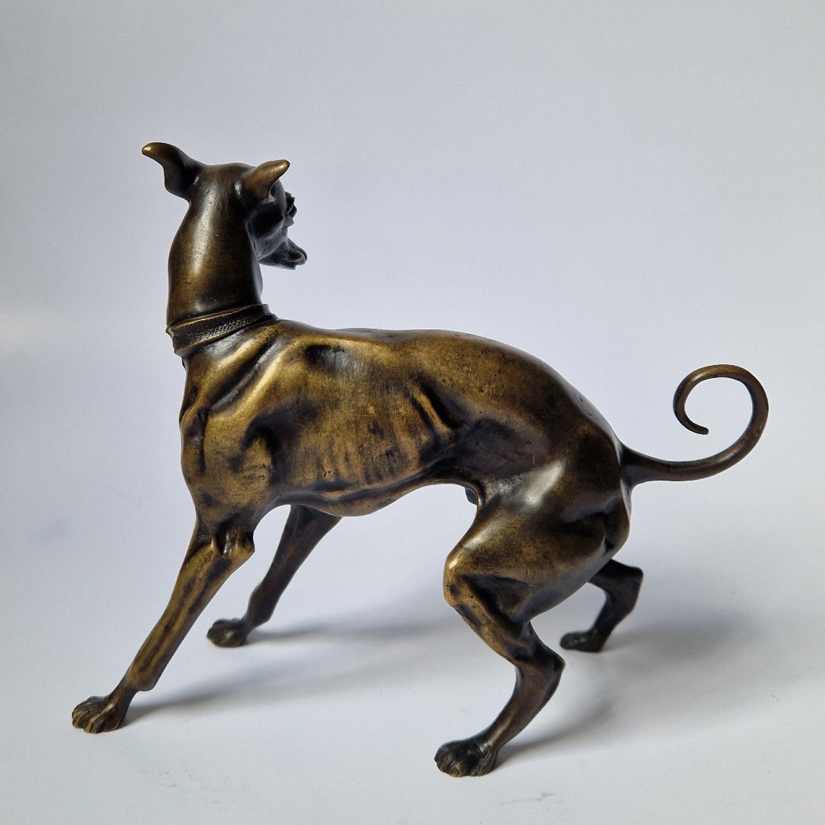 « Animalier » XIXe bronze d'un chien par Pierre-Jules Mêne (1810-1879)  -photo-4