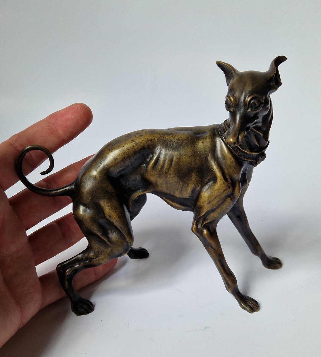 « Animalier » XIXe bronze d'un chien par Pierre-Jules Mêne (1810-1879)  -photo-3