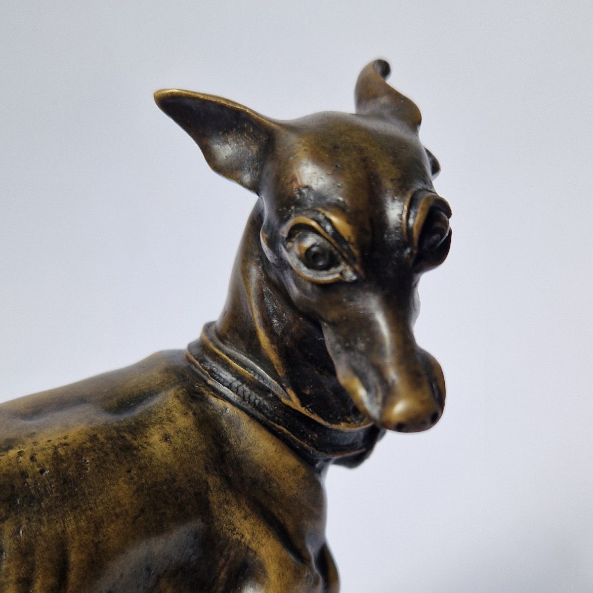 « Animalier » XIXe bronze d'un chien par Pierre-Jules Mêne (1810-1879)  -photo-6