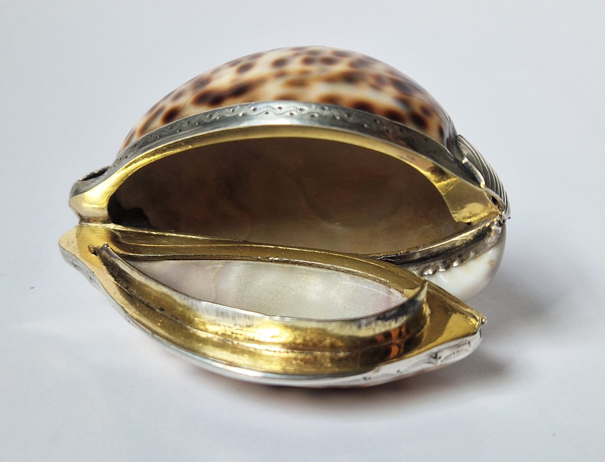 18th Century Silver-mounted Cowrie Shell Snuffbox Circa 1750 -photo-2