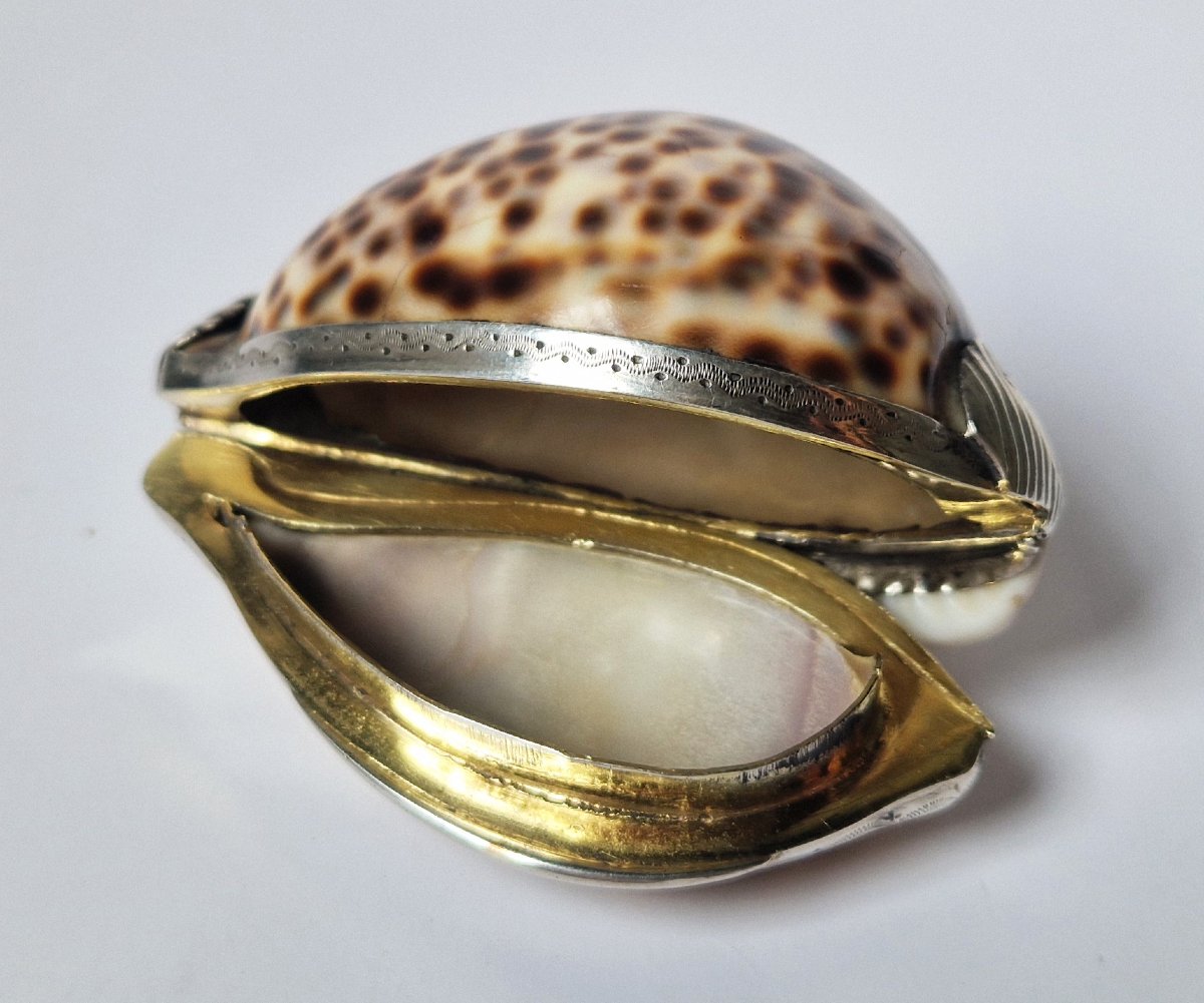 18th Century Silver-mounted Cowrie Shell Snuffbox Circa 1750 -photo-3