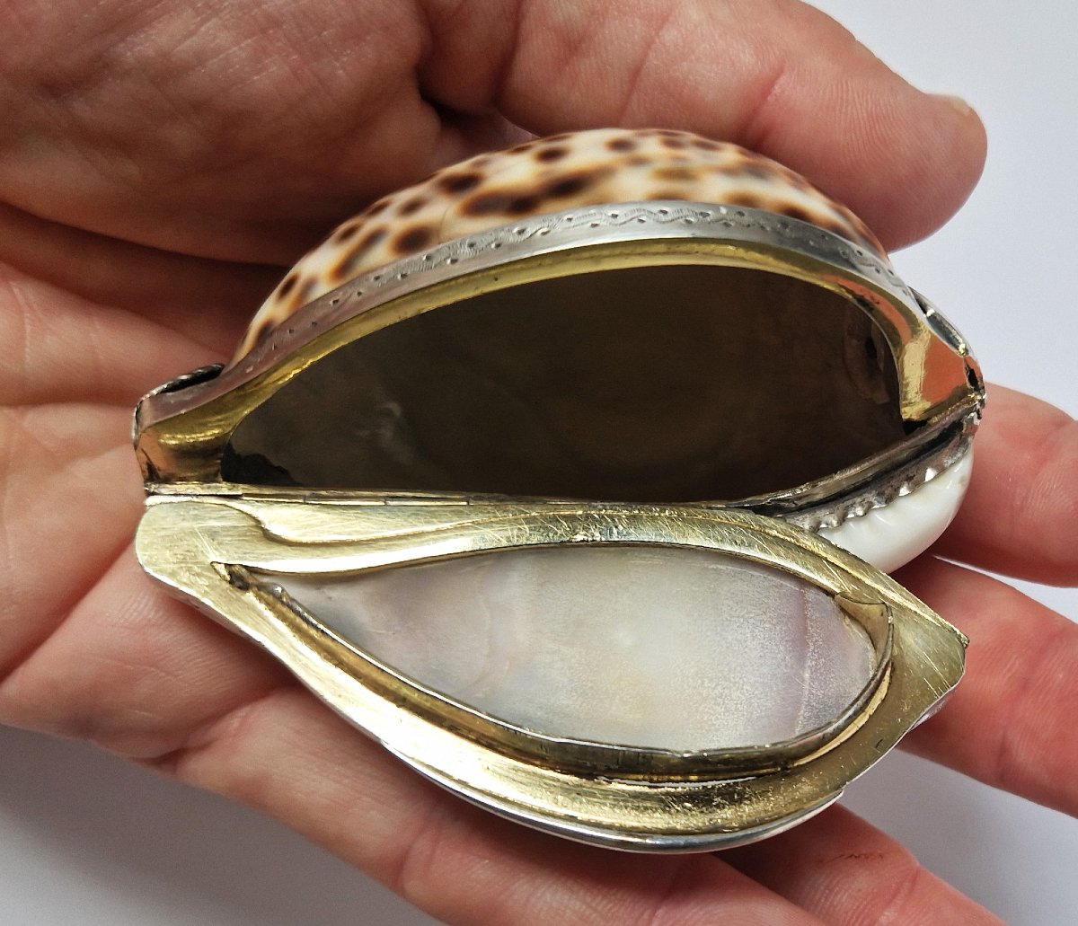 18th Century Silver-mounted Cowrie Shell Snuffbox Circa 1750 -photo-4