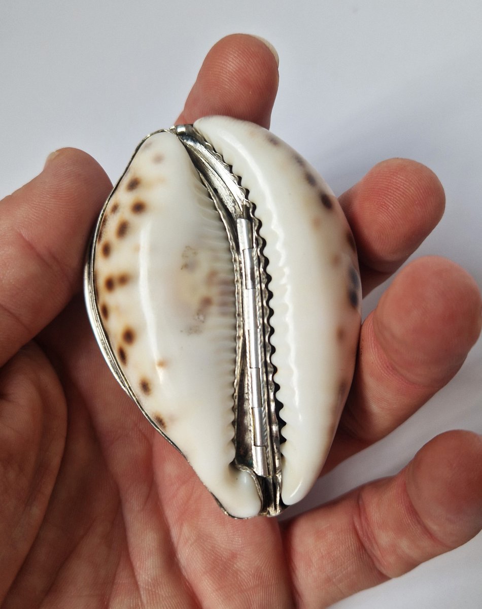 18th Century Silver-mounted Cowrie Shell Snuffbox Circa 1750 -photo-5