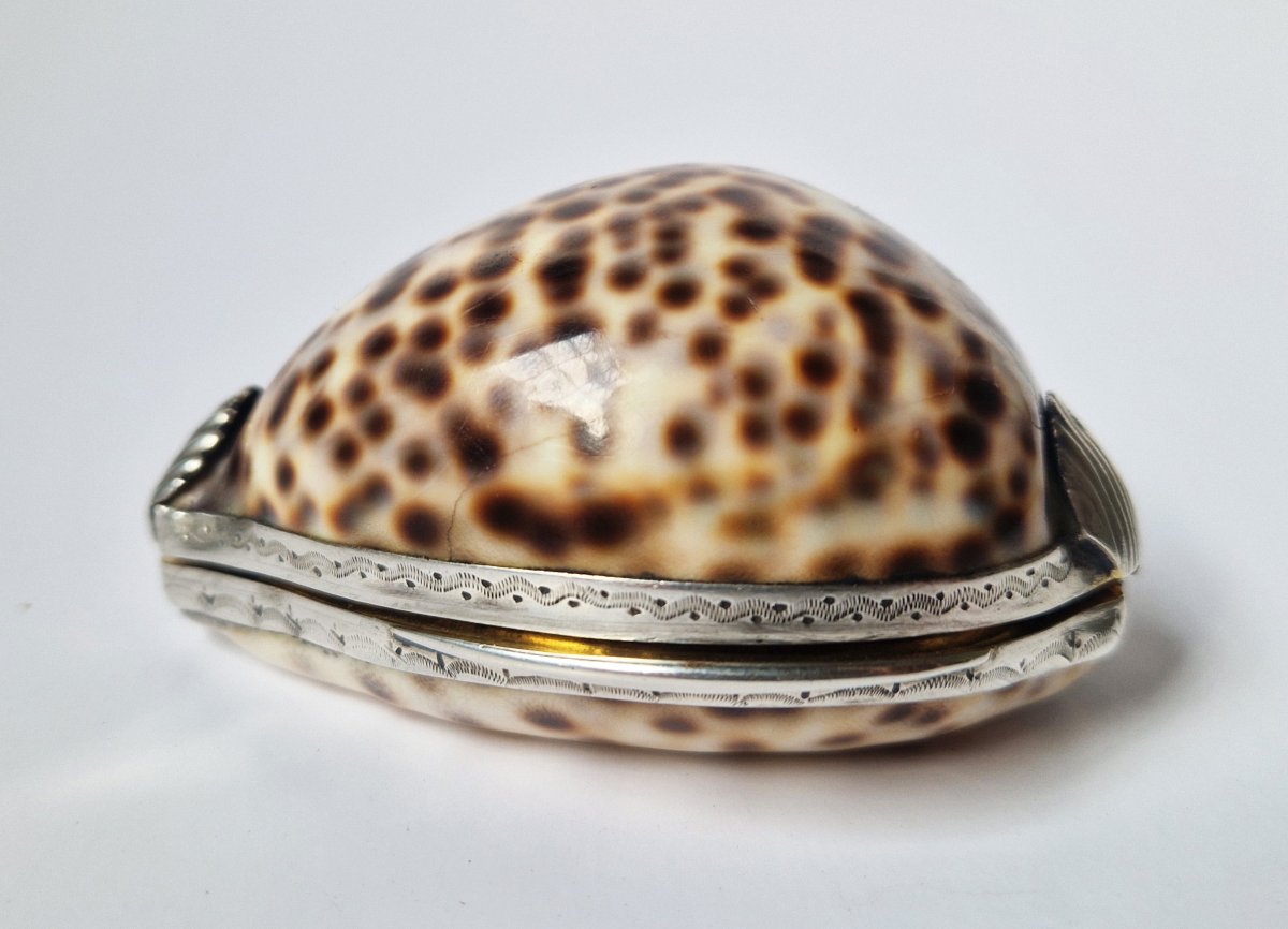 18th Century Silver-mounted Cowrie Shell Snuffbox Circa 1750 