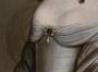 1582253-alb-686f95addfae5.jpg