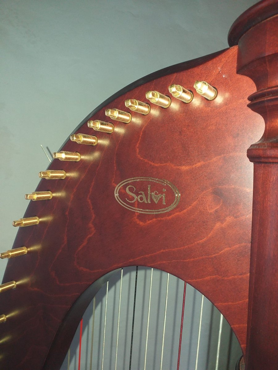 Salvi Ana Harp -photo-2