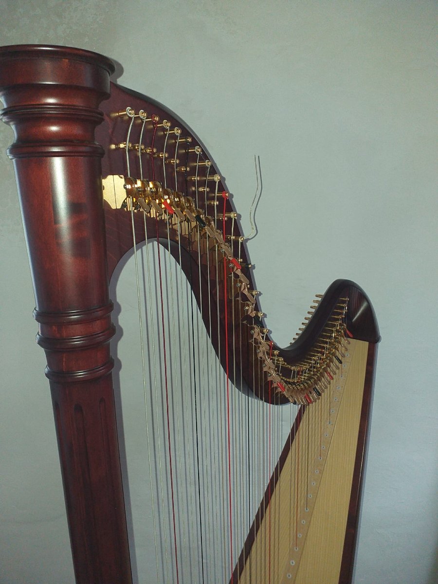 Salvi Ana Harp -photo-3