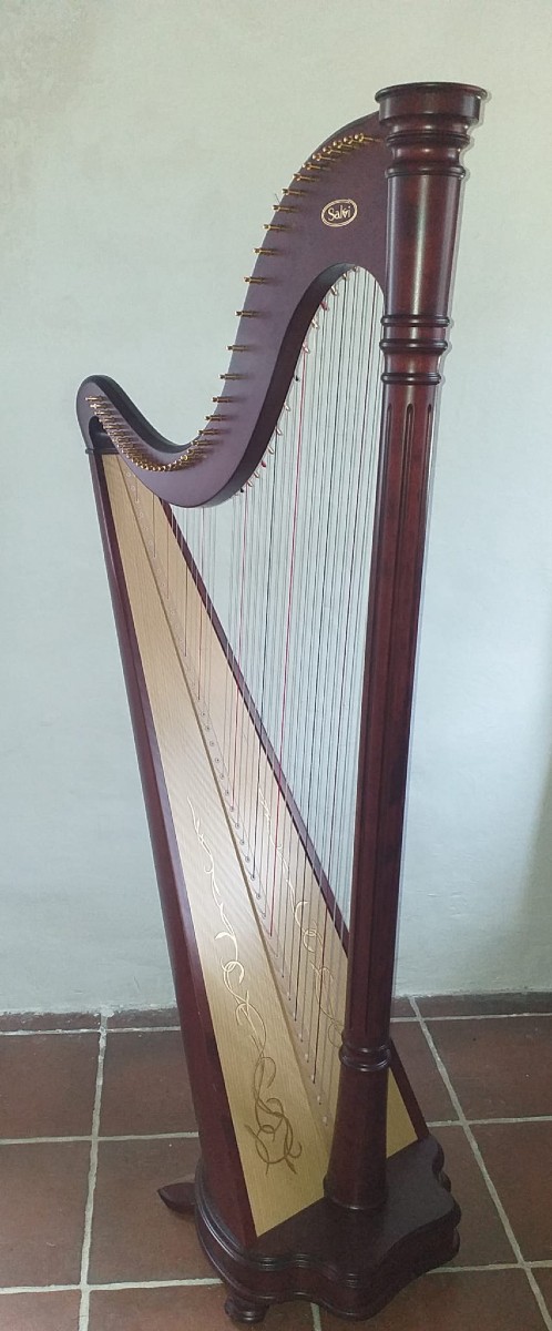 Salvi Ana Harp 