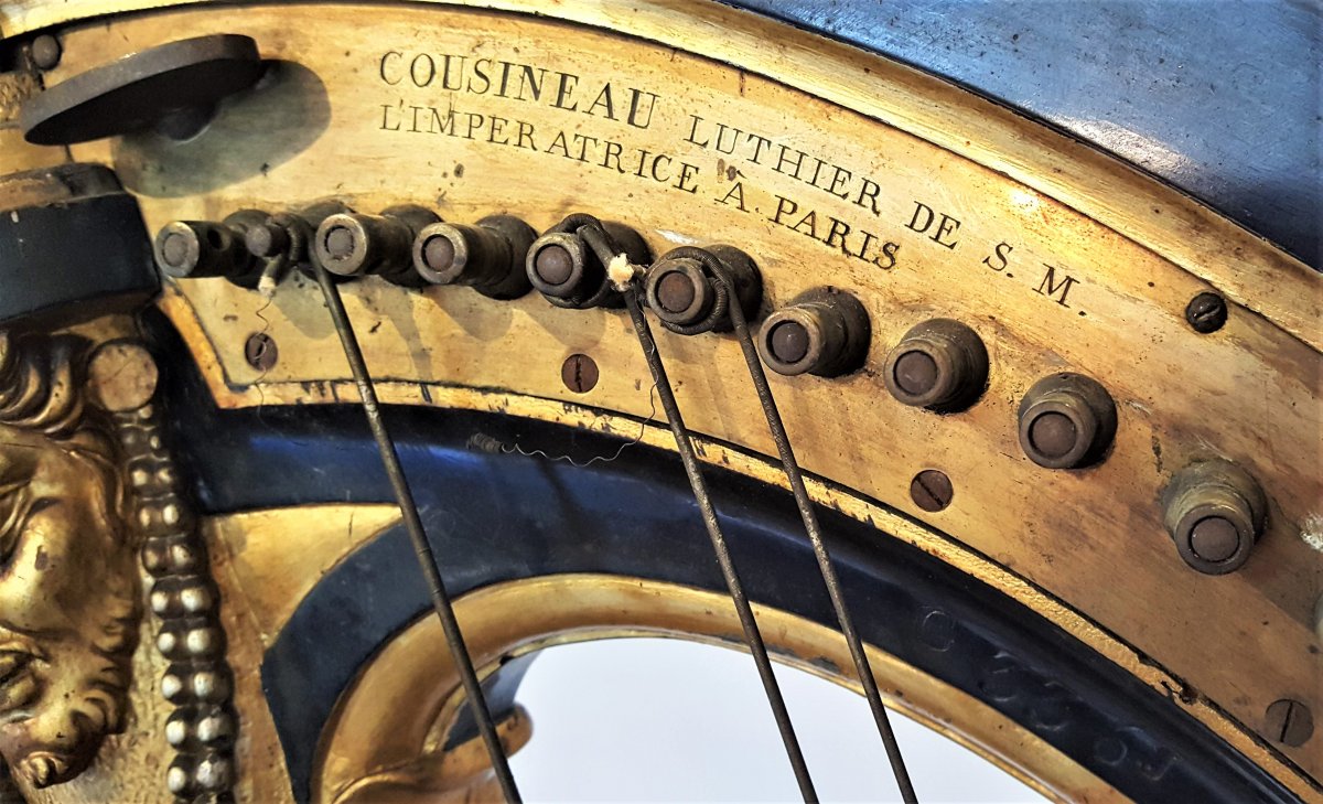 Cousineau Harp-photo-4