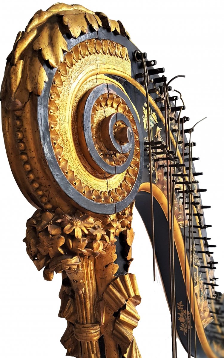 Harpe De Holtzman à Paris No 7-photo-2