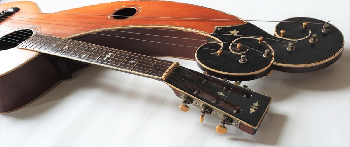 Guitare Harpe de Larson Brothers-photo-4