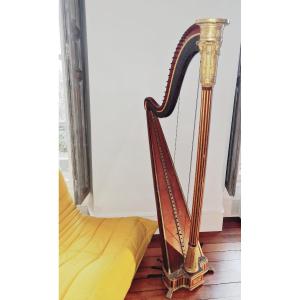 Erard Brothers Harp In Paris #264