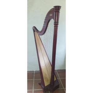 Harpe Salvi Ana 