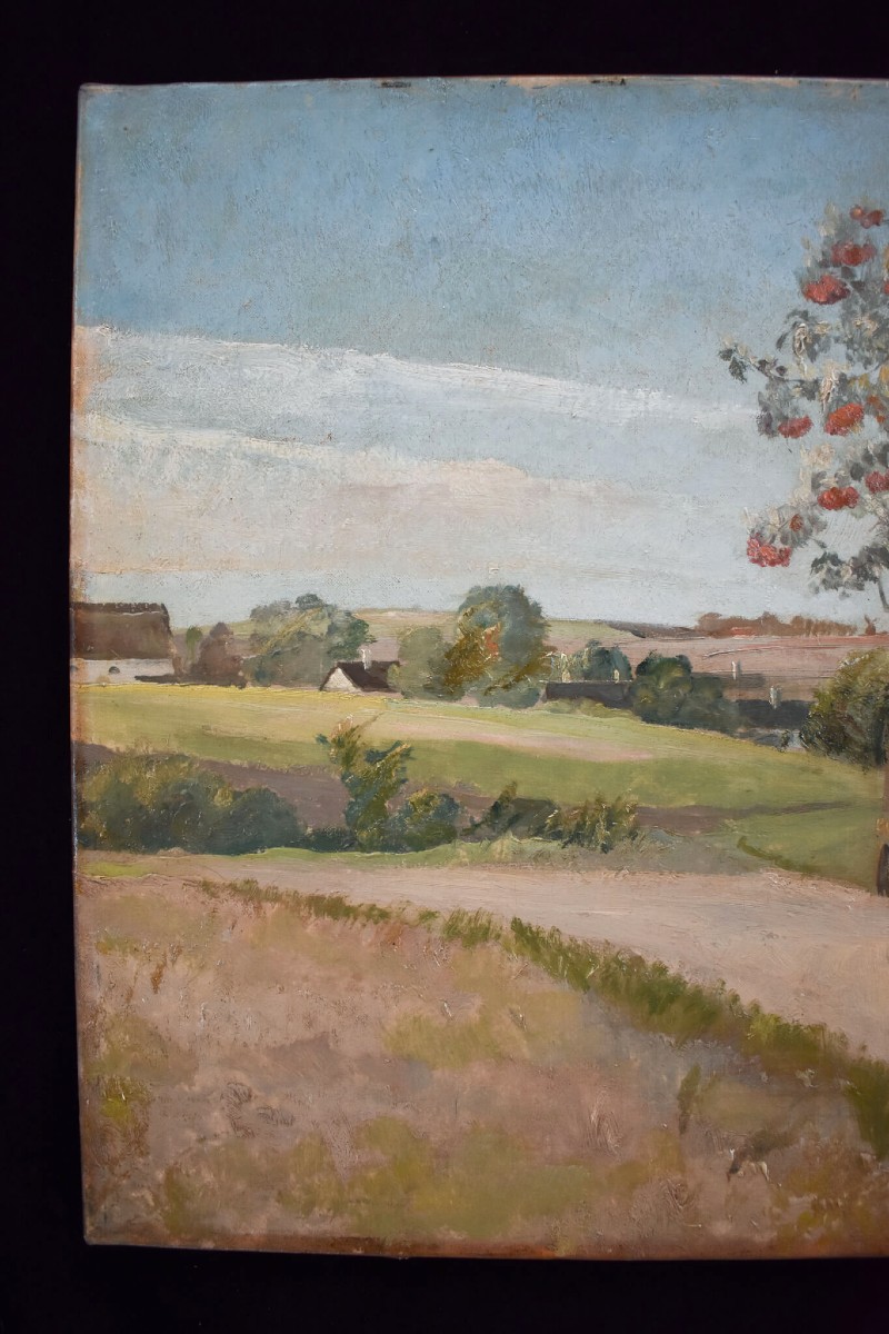 Eiler Sørensen  - Landscape With Young Boy-photo-3