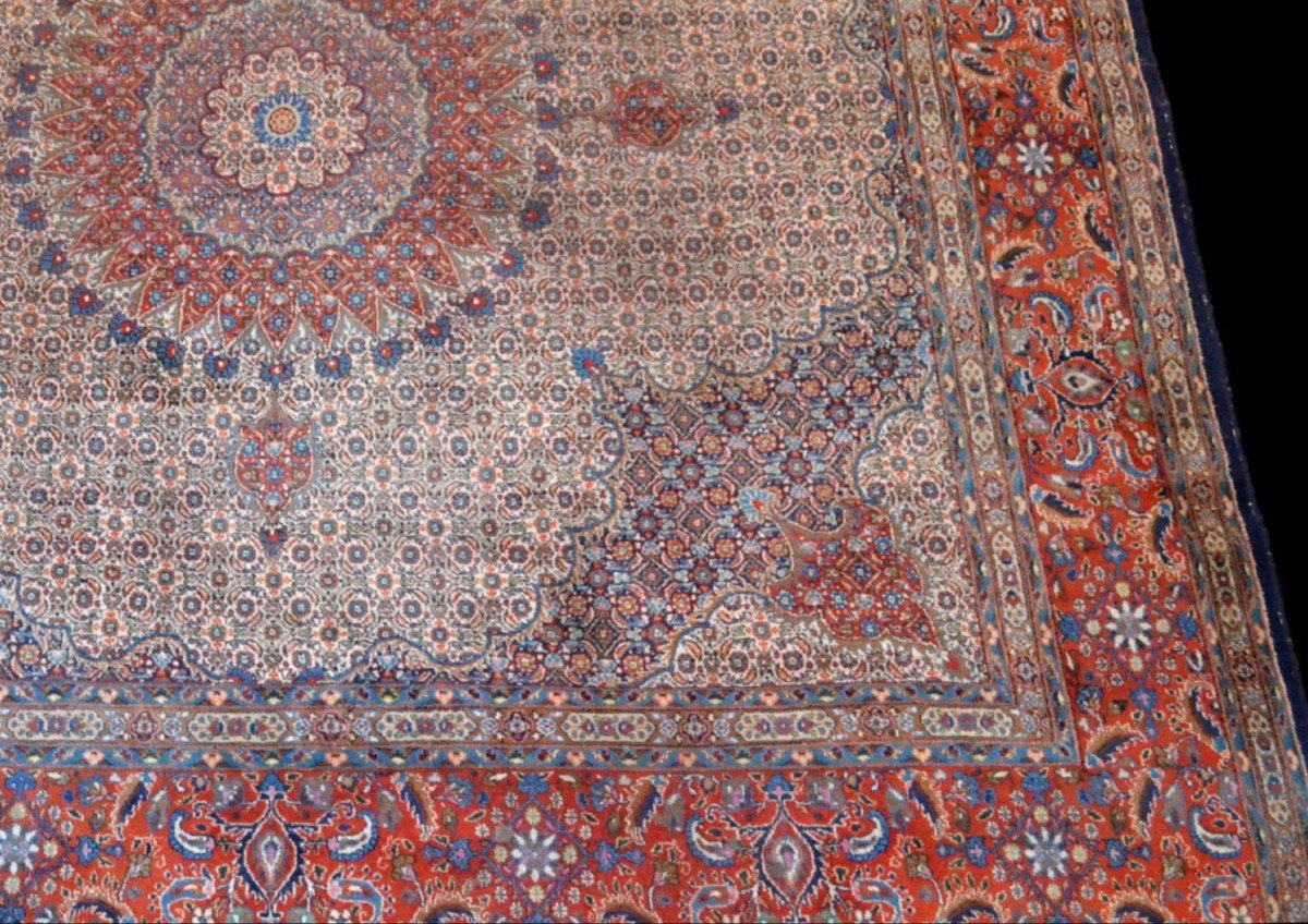 Tapis Moud Mahi carré, Persan, 300 cm x 300 cm, laine nouée main en Iran, très bon état, 1980-photo-4