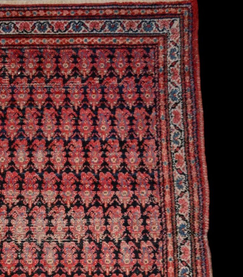 Tapis Kachkaï ancien, 131 x 198 cm, laine nouée main, Perse ( Iran), début du XXème 1920-1930-photo-4