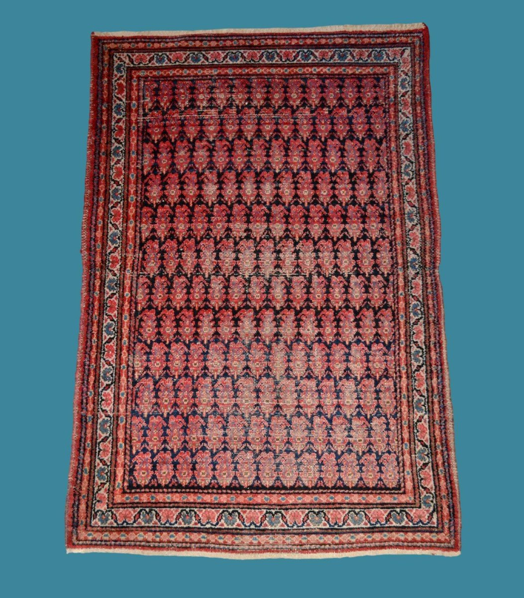 Tapis Kachkaï ancien, 131 x 198 cm, laine nouée main, Perse ( Iran), début du XXème 1920-1930-photo-7