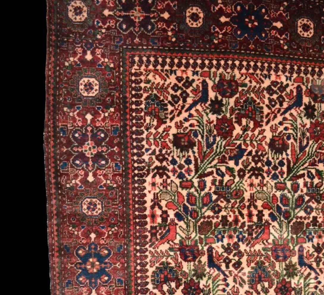 Tapis Sarouk, 130 x 194 cm, laine nouée main vers le milieu du XXème siècle, très bon état-photo-3