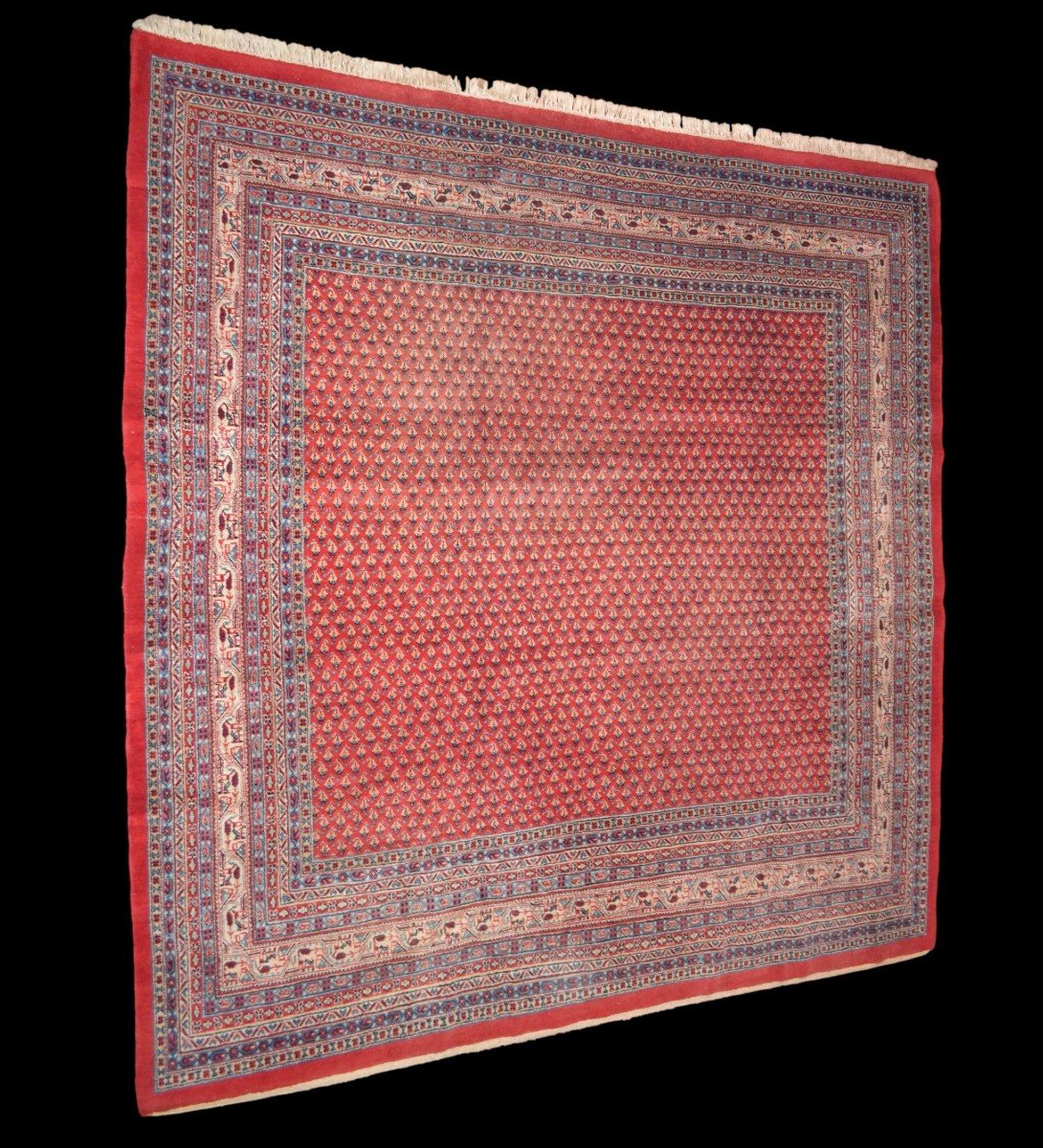 Sarouk Mir, carré, 272 cm x 275 cm, laine nouée main, décor de botehs, Iran vers 1980, parfait-photo-2