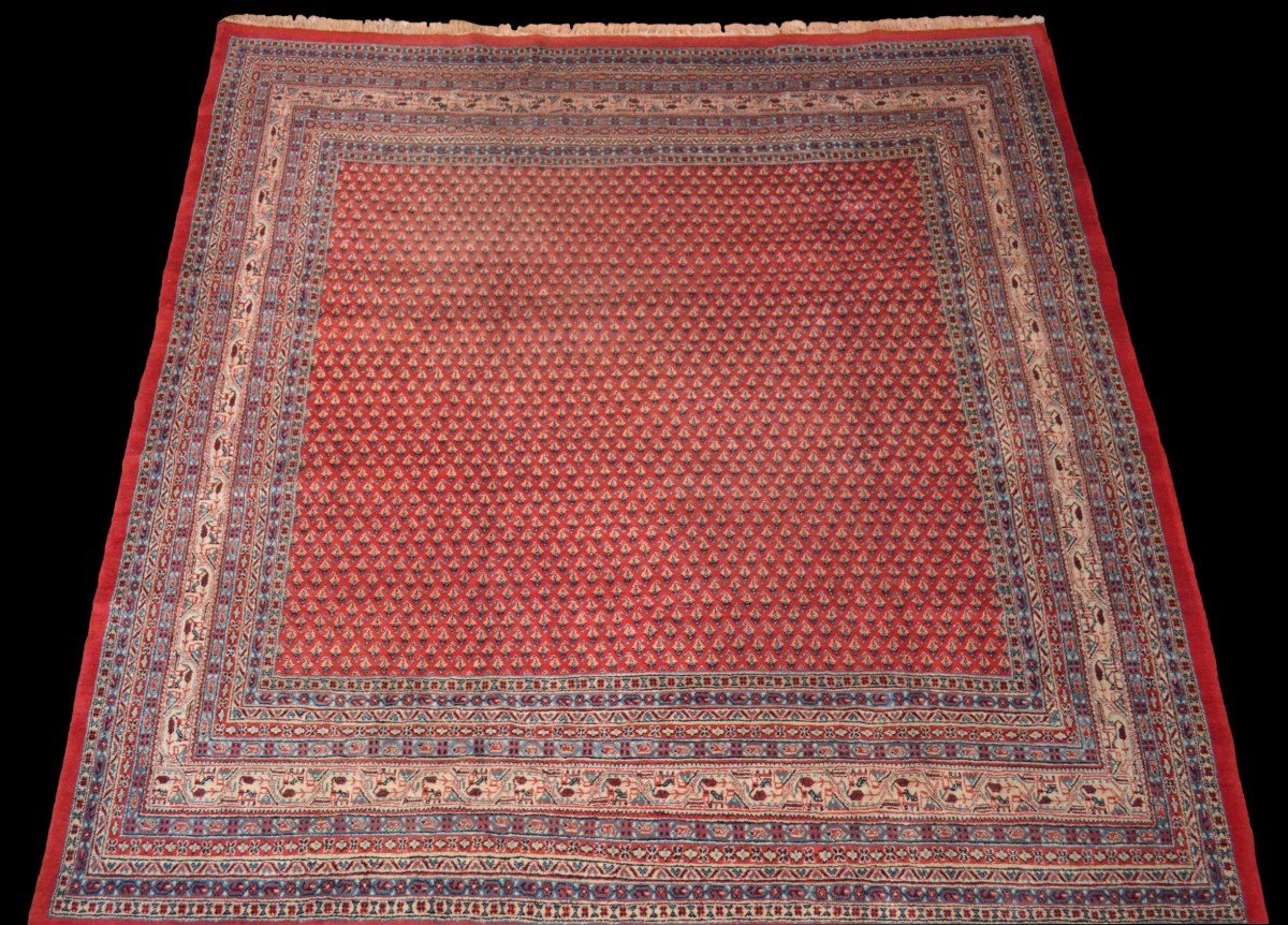 Sarouk Mir, carré, 272 cm x 275 cm, laine nouée main, décor de botehs, Iran vers 1980, parfait-photo-3