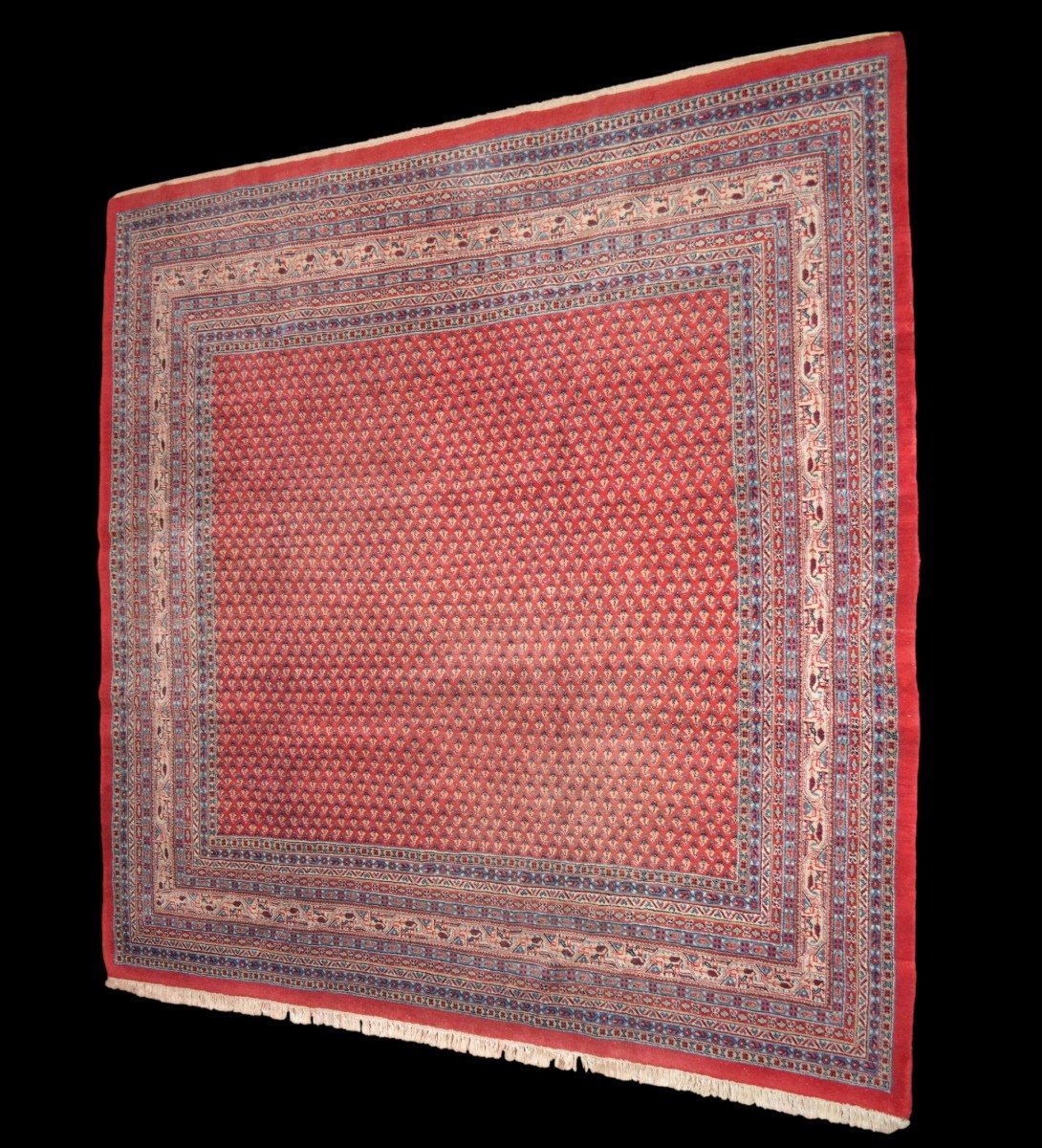 Sarouk Mir, carré, 272 cm x 275 cm, laine nouée main, décor de botehs, Iran vers 1980, parfait-photo-4