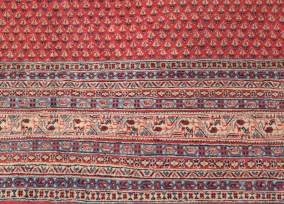 Sarouk Mir, carré, 272 cm x 275 cm, laine nouée main, décor de botehs, Iran vers 1980, parfait-photo-2