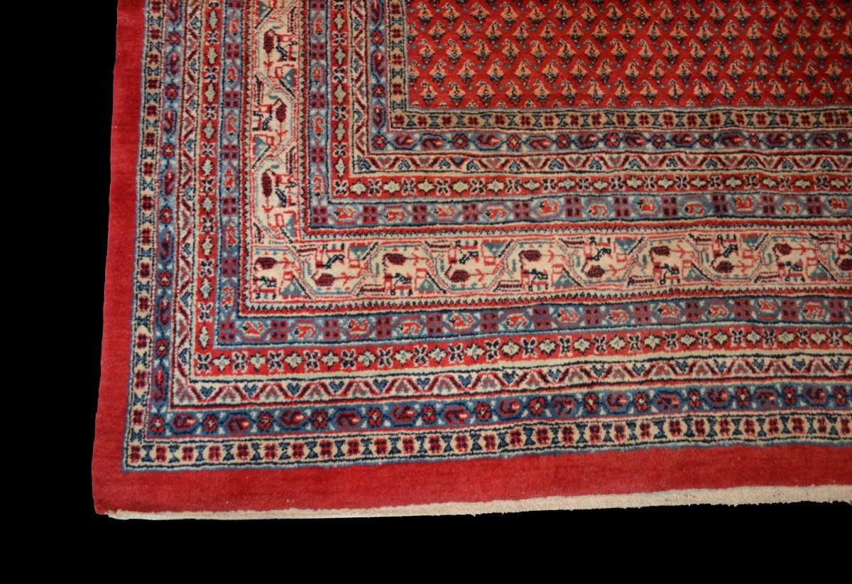 Sarouk Mir, carré, 272 cm x 275 cm, laine nouée main, décor de botehs, Iran vers 1980, parfait-photo-4