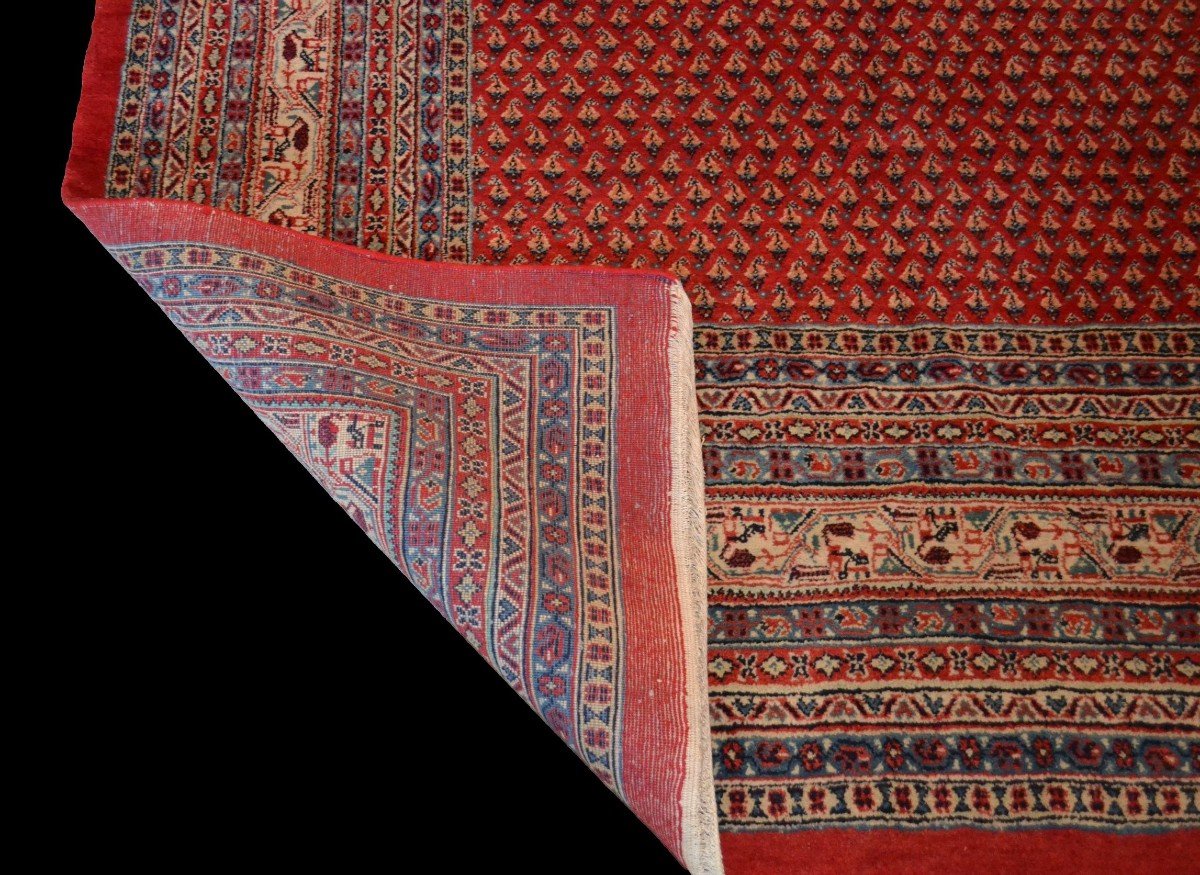Sarouk Mir, carré, 272 cm x 275 cm, laine nouée main, décor de botehs, Iran vers 1980, parfait-photo-5