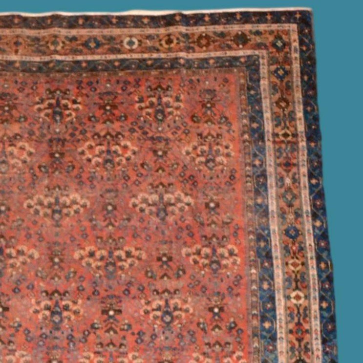 Afshar ancien, décor floral, 143 x 178 cm, laine nouée main, Perse, Iran, fin XIXème, début XXè-photo-4