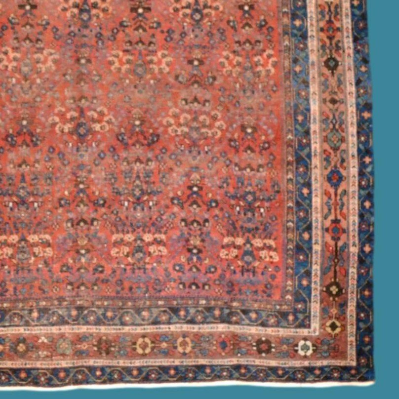 Afshar ancien, décor floral, 143 x 178 cm, laine nouée main, Perse, Iran, fin XIXème, début XXè-photo-5