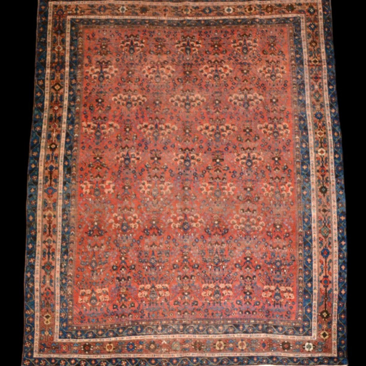 Afshar ancien, décor floral, 143 x 178 cm, laine nouée main, Perse, Iran, fin XIXème, début XXè