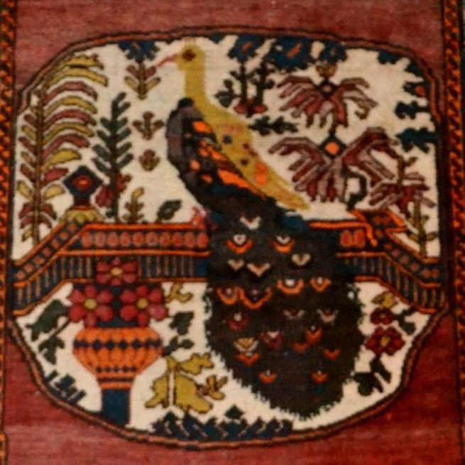 Afshar ancien au paon, 132 x 198 cm, laine nouée main en Iran, première partie du XXème siècle-photo-1