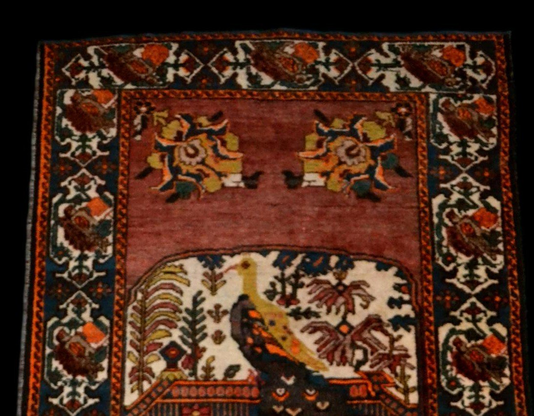 Afshar ancien au paon, 132 x 198 cm, laine nouée main en Iran, première partie du XXème siècle-photo-2