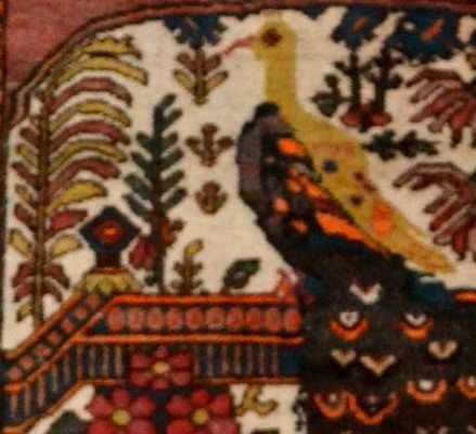 Afshar ancien au paon, 132 x 198 cm, laine nouée main en Iran, première partie du XXème siècle-photo-5