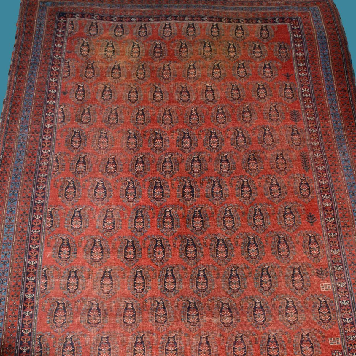 Afshar à Botehs, 214 x 312 cm, laine sur laine nouée main en Iran vers 1950-1960, très bon état-photo-2