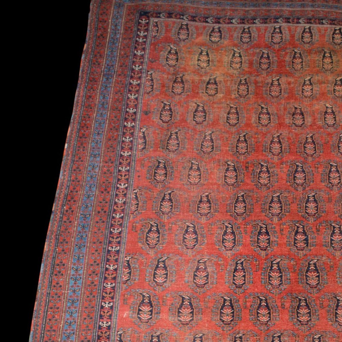 Afshar à Botehs, 214 x 312 cm, laine sur laine nouée main en Iran vers 1950-1960, très bon état-photo-1