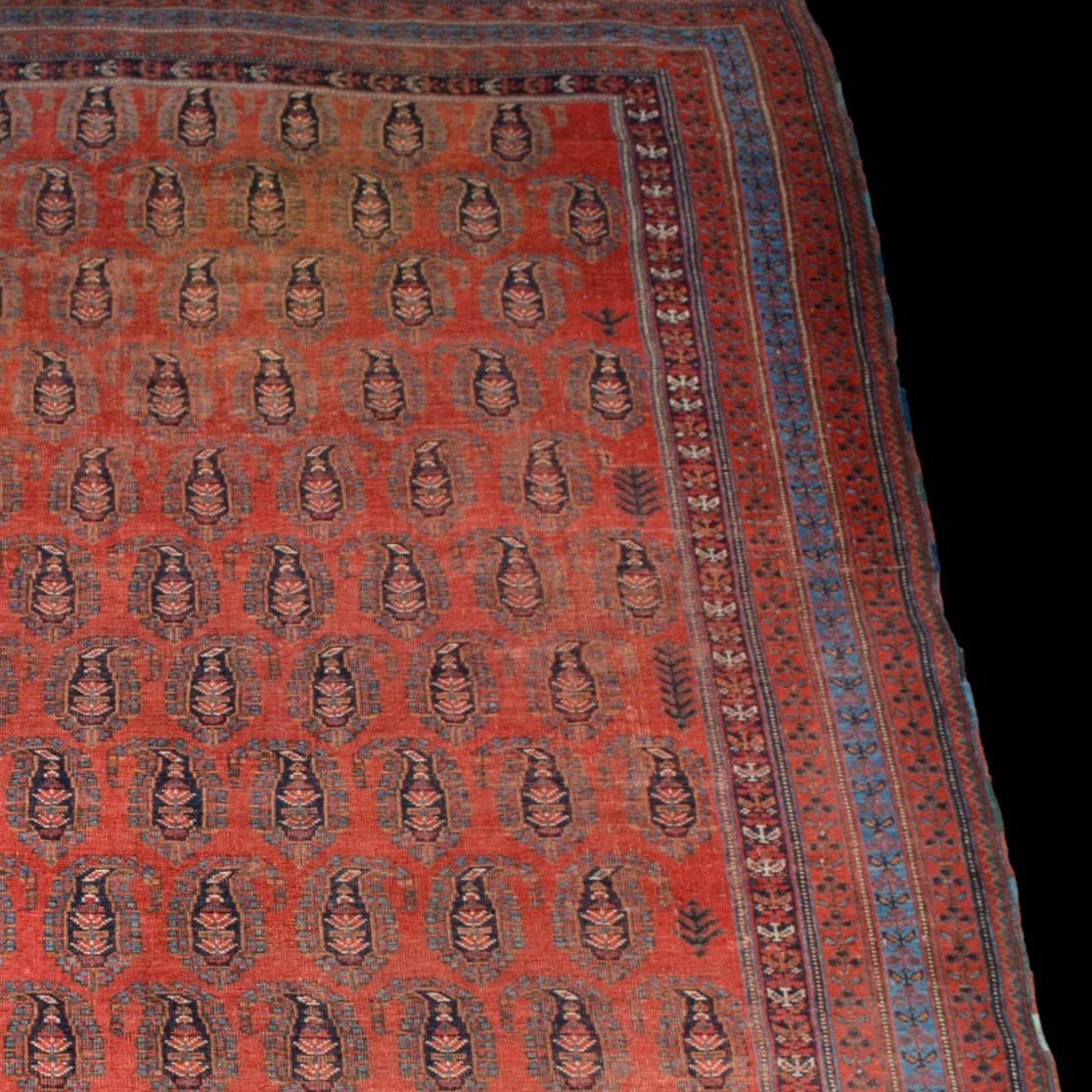 Afshar à Botehs, 214 x 312 cm, laine sur laine nouée main en Iran vers 1950-1960, très bon état-photo-2