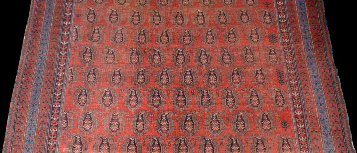 Afshar à Botehs, 214 x 312 cm, laine sur laine nouée main en Iran vers 1950-1960, très bon état-photo-3