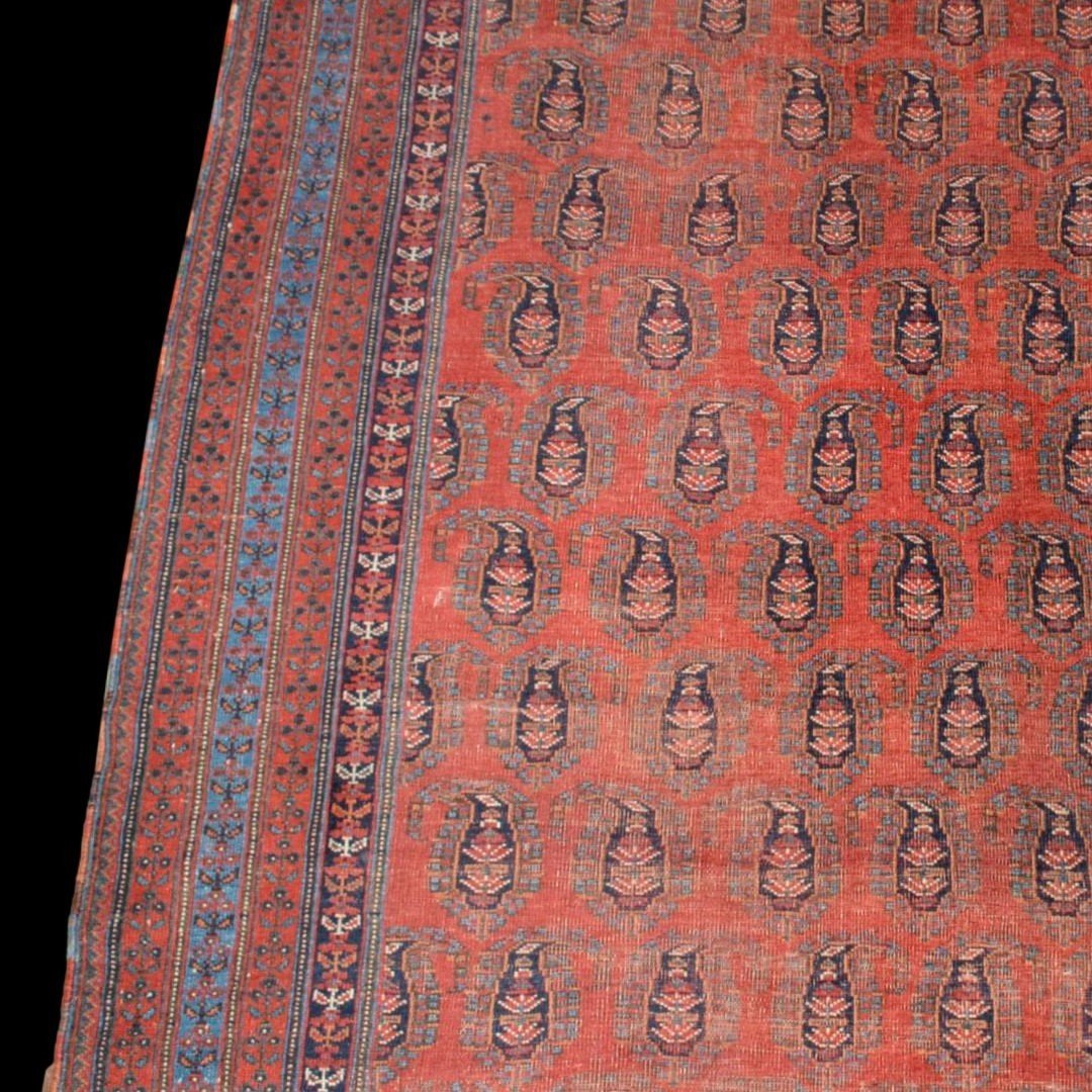 Afshar à Botehs, 214 x 312 cm, laine sur laine nouée main en Iran vers 1950-1960, très bon état-photo-4