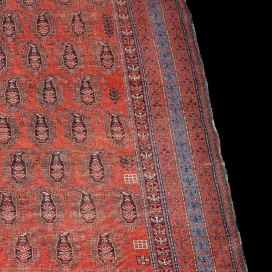 Afshar à Botehs, 214 x 312 cm, laine sur laine nouée main en Iran vers 1950-1960, très bon état-photo-5