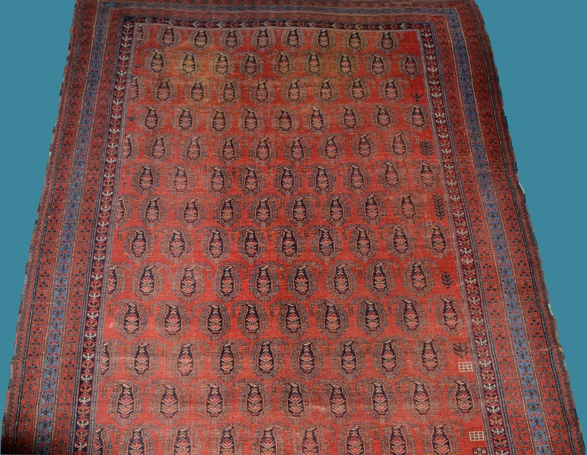 Afshar à Botehs, 214 x 312 cm, laine sur laine nouée main en Iran vers 1950-1960, très bon état-photo-8