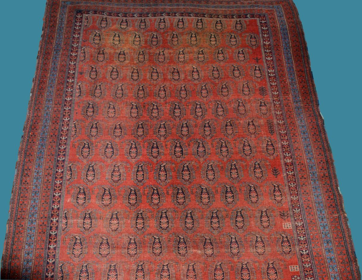 Afshar à Botehs, 214 x 312 cm, laine sur laine nouée main en Iran vers 1950-1960, très bon état-photo-8