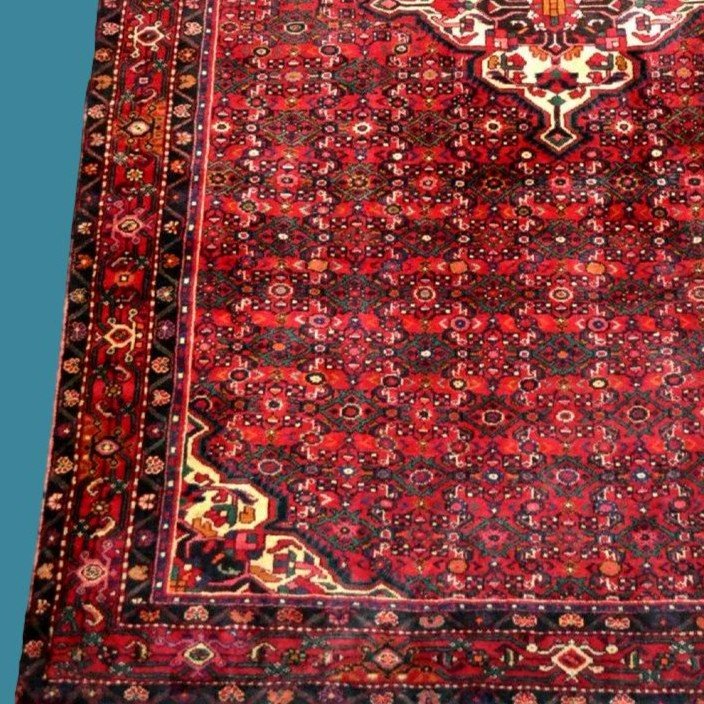 Tapis Hamadan, abrash, 213 cm  x 305 cm, laine nouée main en Iran vers 1980 en très bon état-photo-3