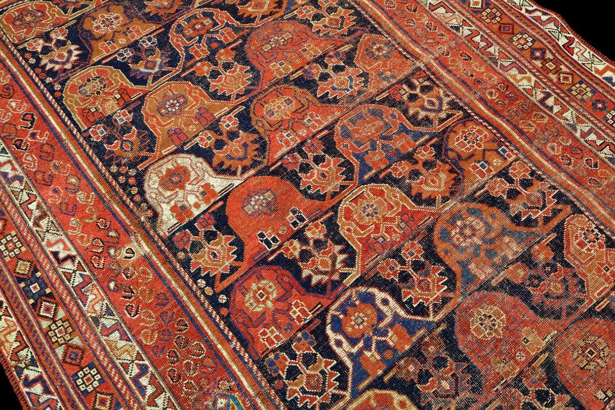 Tapis Afshar ancien, 152 cm x 240 cm, laine sur laine nouée main vers 1900 en Perse, Iran, -photo-5