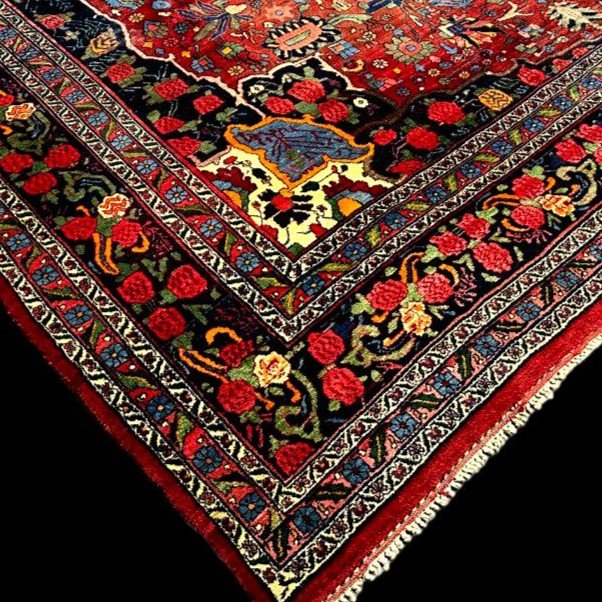 Tapis Bidjar ancien, 270 x 355 cm, laine nouée main vers 1920-1930 en Iran, en très bel état -photo-1