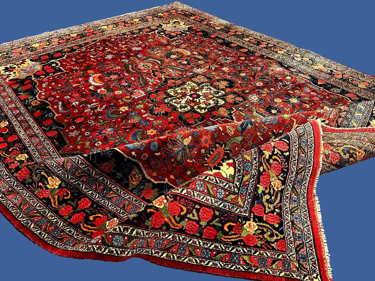 Tapis Bidjar ancien, 270 x 355 cm, laine nouée main vers 1920-1930 en Iran, en très bel état -photo-5