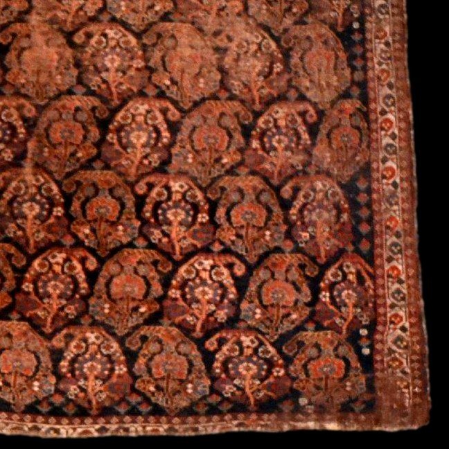 Afshar Rug, 134 X 176 Cm, Hand-knotted During The Qajar Dynasty, Iran, Persia, 19th Century-photo-4