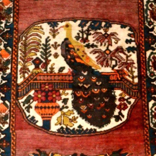 Afshar Peacock Rug, 132 X 198 Cm, Hand-knotted Wool In Iran Circa 1920-1930, Very Good Condition-photo-3